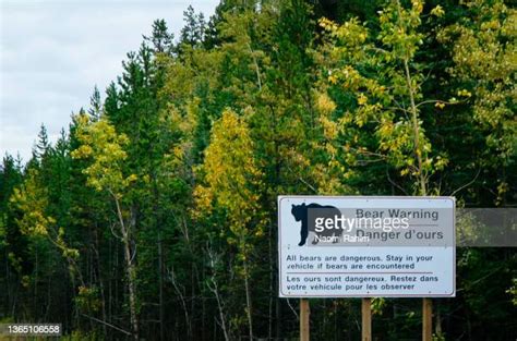 Bear Warning Sign Photos And Premium High Res Pictures Getty Images