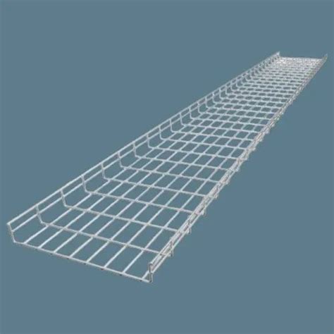 Stainless Steel Ladder Ss304 Wire Mesh Tray For Industrial At Rs 350