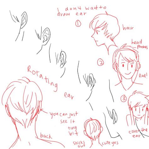88 Best Character Anatomy Ears Images On Pinterest Drawing
