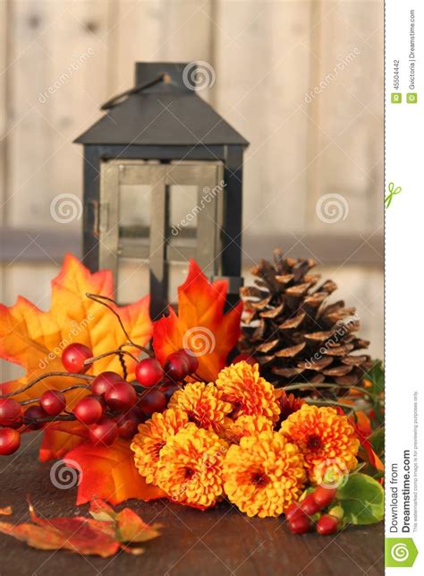 Fall Flowers Stock Photo Image Of Leaves Lantern Petals 45504442