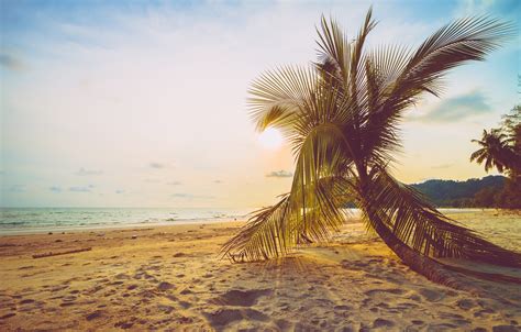 Wallpaper Sand Sea Wave Beach Summer The Sky Palm Trees Shore