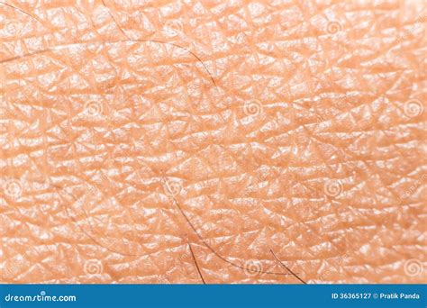 Skin Detail Texture