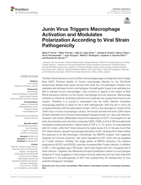 Pdf Junin Virus Triggers Macrophage Activation And Modulates