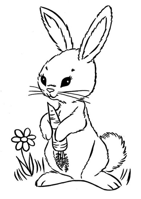 Rabbit Eating Carrots Coloring Page Coloring Pages