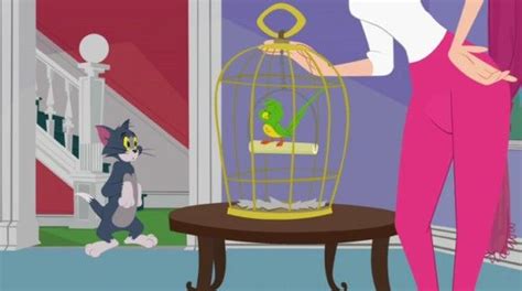Tom and jerry end up fighting for the cover, yet end up getting locked out of the house due to fighting./tom gets reminded he only has one live left. Watch The Tom and Jerry Show 2014 Episode 7 Birds of a Feather; Vampire Mouse Online - The Tom ...