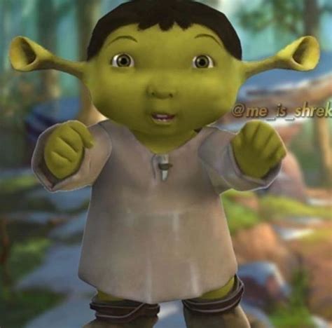 Funny Shrek Memes Baby