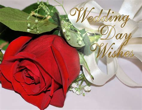 Funny wedding wishes what to write in a wedding card to a friend wedding wishes are the messages of congratulations and wishes for the future that you write. BEST GREETINGS: Free Anniversary Greeting Cards, Wedding Anniversary eCards, Marriage ...