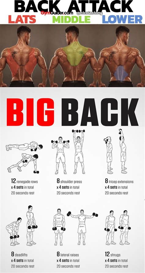 Build Thick And Wide Back With This Workout Program GymGuider Com Workout Programs Dumbell
