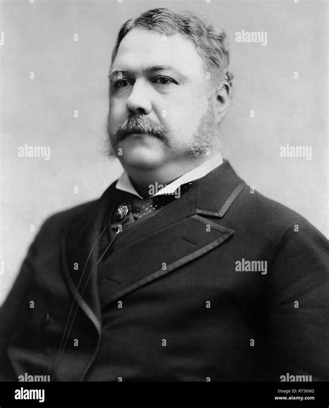 American History Portrait Of President Chester Alan Arthur Stock Photo