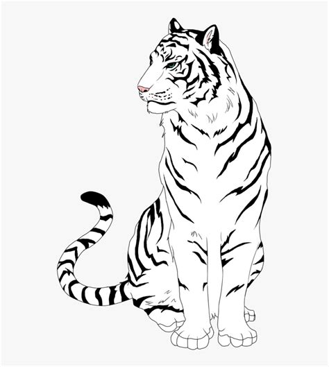 Top 86 Tiger Sketch Easy Super Hot Seven Edu Vn