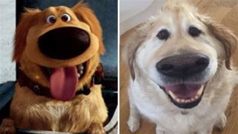 People Are Using Snapchat Filters On Their Pets And Its Hilarious