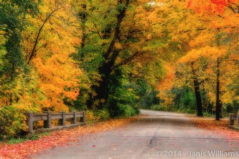 Wallpaper Road Park Autumn Trees Fall Leaves Illinois Country