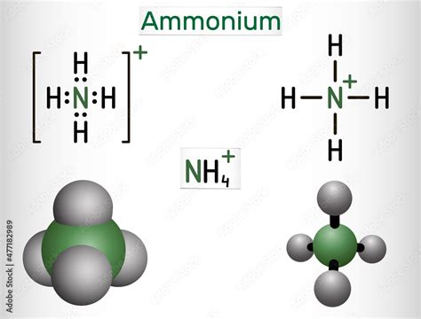 Ammonium Ion Formula Hot Sex Picture