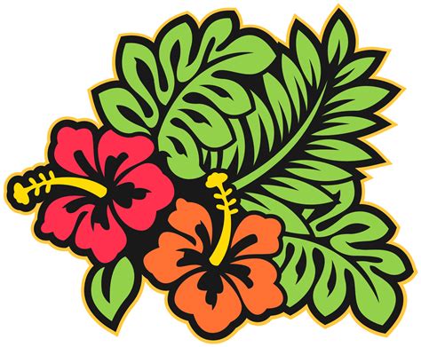 Hawaiian Flower Png Transparent Png Kindpng Images And Photos Finder