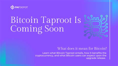 Bitcoin Taproot What Is Btc Taproot Upgrade Paydepot