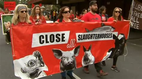 Animal Rights Activists Stage Protests Across Country Sky News Australia