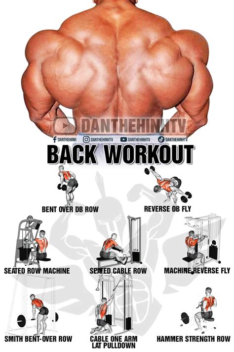 8 Best Exercises For A Wider Back Back Workout Gym Back Workout Abs