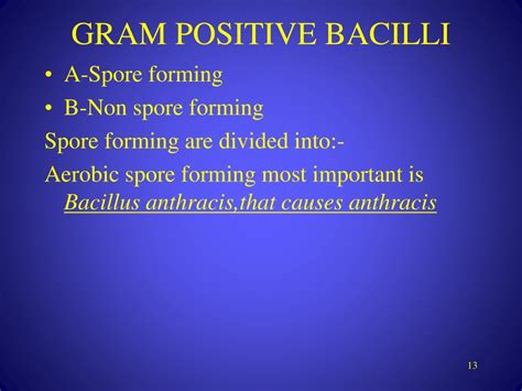 Ppt Gram Positive And Gram Negative Bacteria Powerpoint Presentation