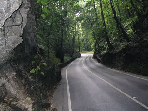 Fern Gully In Jamaica Jamaica Island Jamaica History Jamaica