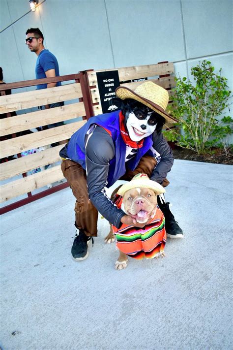 Photos: Laredo pets dressed in festive sweaters for Pawliday party