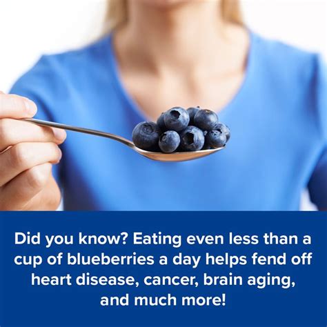 7 Stunning Reasons You Should Eat Blueberries Every Day Fruit