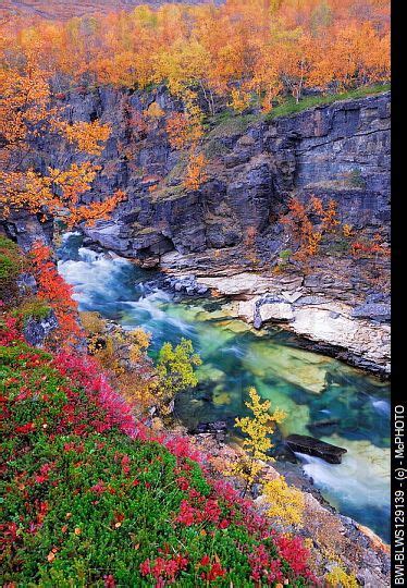 Autumn Scenery In The Abisko Canyon With Abiskojakka River