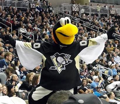 Mascot Nhl Mascots Iceburgh Penguins Pittsburgh Flyers