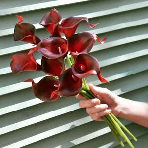 Fiveseasonstuff Stems Real Touch Dark Red Calla Lilies Artificial