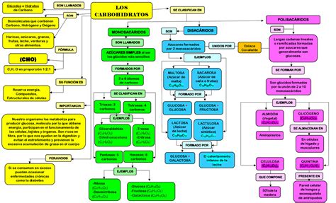 Mapa Conceptual De Los Carbohidratos Mapas Conceptuales