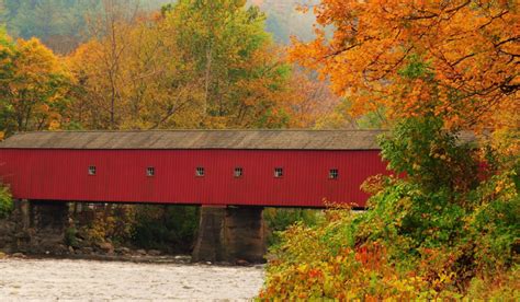 Fall Foliage And Fun Autumn Activities To Do In Connecticut The Informer