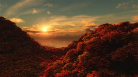 Red Trees Wallpaper 4k Sunrise Cloudy Sky Forest Aerial View