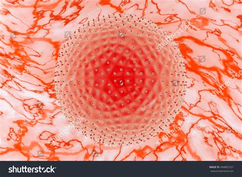 Chlamydia Trachomatis Microscopy Magnification 3d Illustration