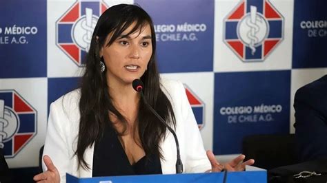 اعتذر وزير الداخلية الشيلي للأرجنتين بعد الإشارة إلى مابوتشي فالمابو Infobae