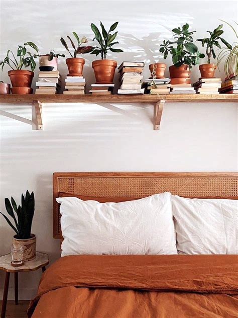 9 Ways To Arrange Your Perfect Indoor Plant Shelf In 2020 Indoor