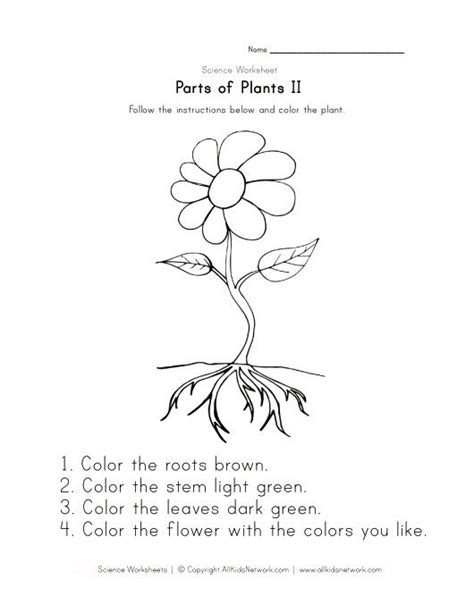 Parts Of A Plant Worksheet Kindergarten Lesson Plans Kindergarten