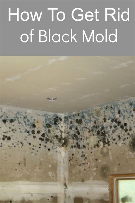 We also noticed small mold spotting on the walls and ceiling that got worse as we entered the master bedroom area. 17+ images about Reclaimed to Fame on Pinterest ...