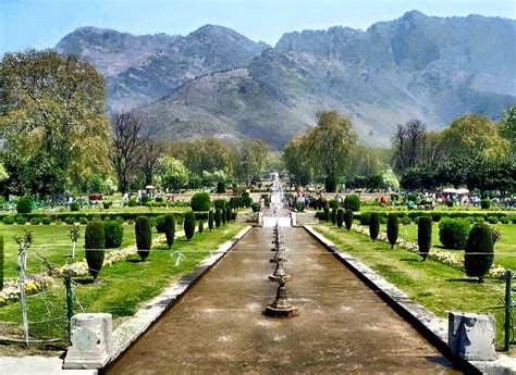 Nishat Garden Srinagar Paradise Kashmir
