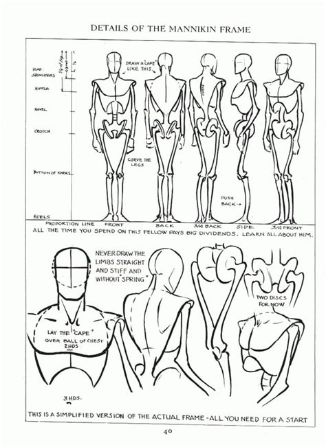 Drawing Human Body Female Anatomy For Artist Pdf