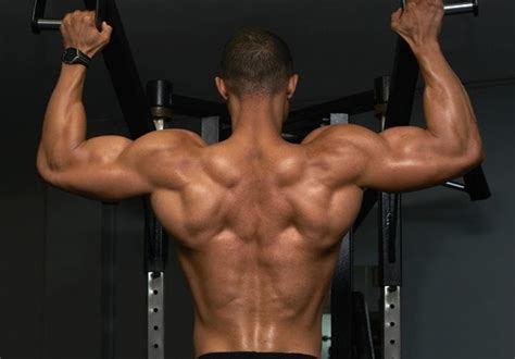 The Best Upper Back Exercises For Complete Back Development