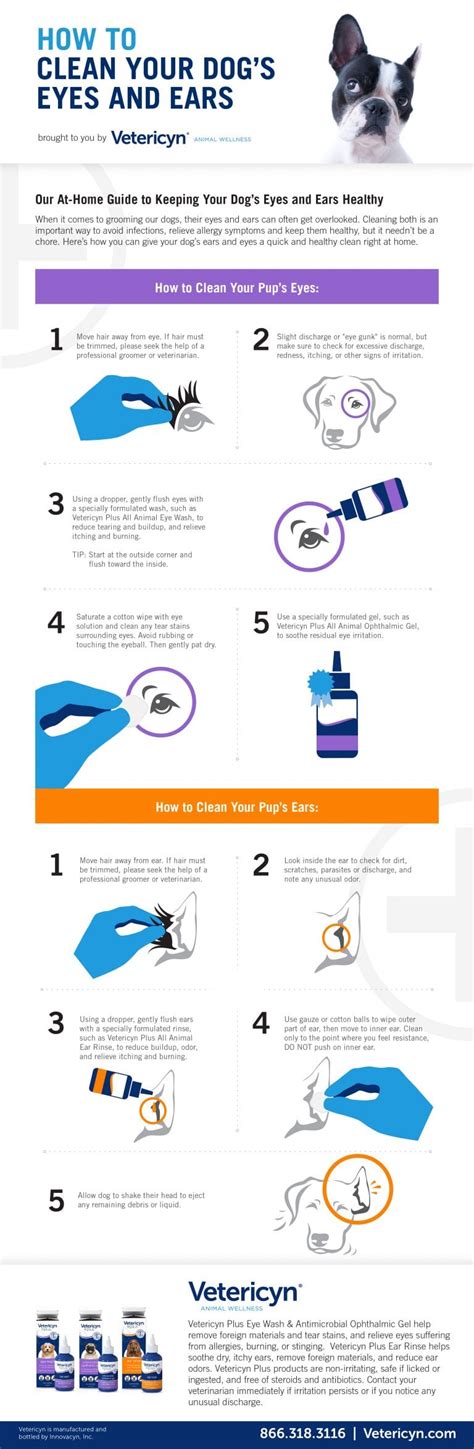 How To Clean Your Dogs Eyes And Ears Infographic Vetericyn Animal