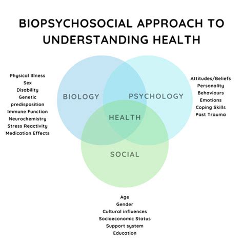 Biopsychosocial Approach Pelvic Health Support
