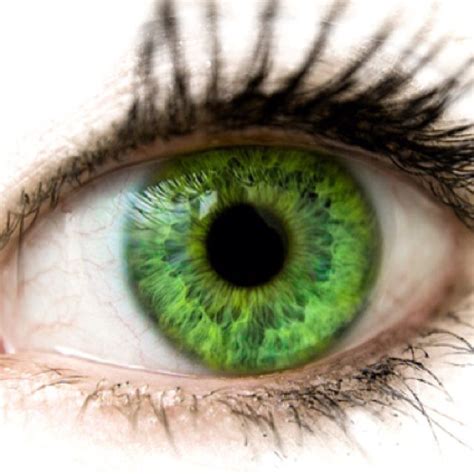 Green Eyes Olhos Verdes Olhos Lindos Olhos Bonitos