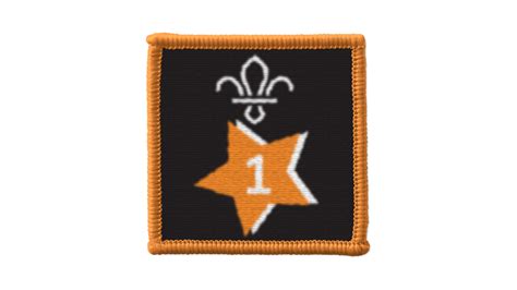 Squirrel Awards Scouts