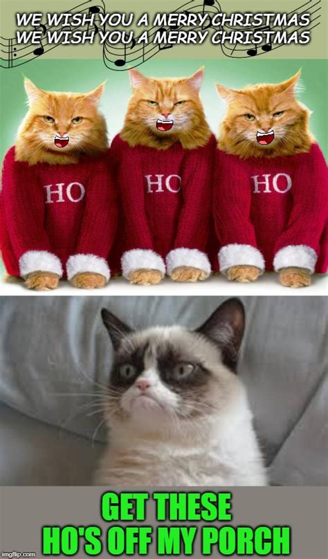 Merry Christmas Funny Cat 