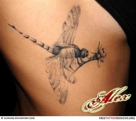 Realistic Dragonfly Tattoo Back Tattoo Pinterest