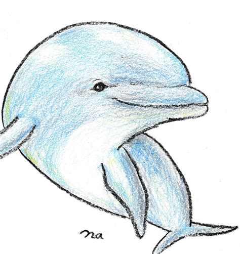 Dolphin R Drawing