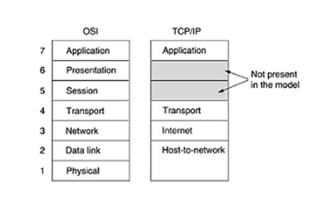 Computer Networks Tcp Ip Reference Model Lessons2all Hot Sex Picture