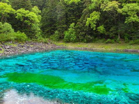 117 Five Color Pond Jiuzhaigou Stock Photos Free And Royalty Free Stock