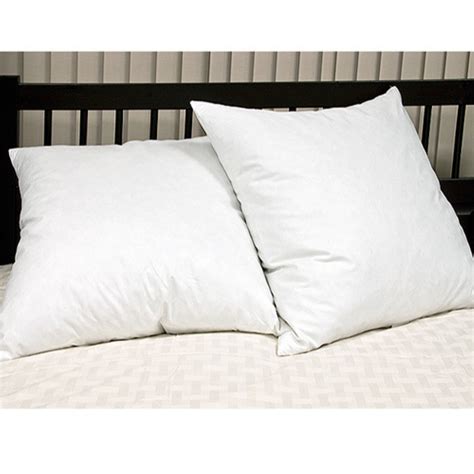 Euro Square Feather Pillow Set Of 2