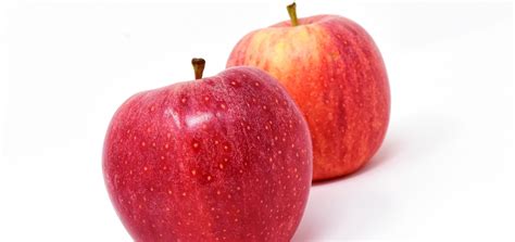 Apple Fruit Red Free Photo On Pixabay Pixabay
